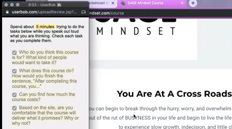 User testing screenshot